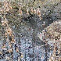 укромное место :: Сергей Лындин