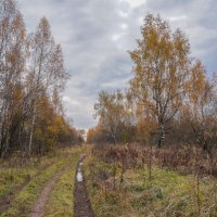 В поле... :: Владимир Жданов