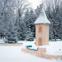 В зимнем парке :: Андрей Заломленков