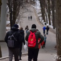 Прогулки в парке. :: Наталья Вязигина