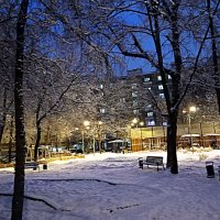 Через несколько часов Новый Год. :: Владимир Драгунский