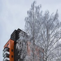 Сладкая парочка! :: Alexandеr P