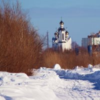 Вид с левого берега Юганской Оби на Свято-Духов храм! :: Владимир 