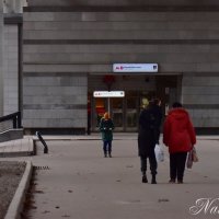 Вход в метро. :: Наталья Вязигина