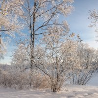 Зима :: Владимир Колесников