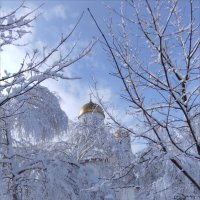 Спасибо небесам за первый снег! :: Надежда 