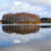 Островок с берёзовой рощей. :: Милешкин Владимир Алексеевич 