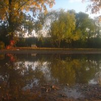 зеркало луж :: Александр Кольцов