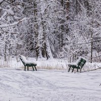 В ожидании весны. :: Петр Беляков