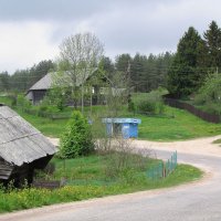 Деревня Нурмолицы :: Александр Ильчевский 