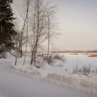 Морозное февральское утро. :: Вадим Басов