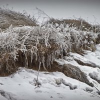 "Изморозь  на, не укрытой снегом, траве"© :: Владимир Макаров