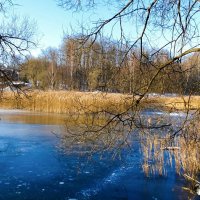 Озёра Смоленщины. :: Милешкин Владимир Алексеевич 