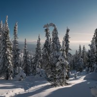 * :: Александр Иванов