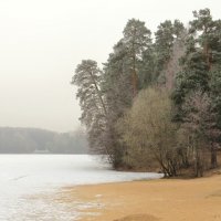 Зимний пляж :: Андрей Снегерёв