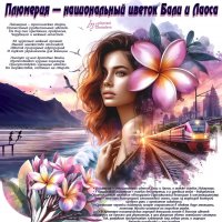 Плюмерия — национальный цветок Бали и Лаоса :: elenaslava 