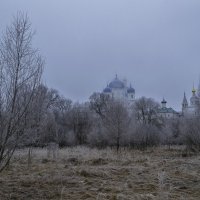 Туман и иней в феврале :: Сергей Цветков