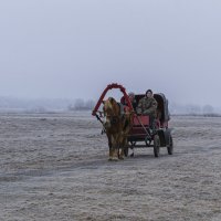 По чистому полю :: Сергей Цветков