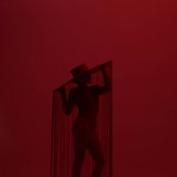 Red :: Лилия Селезнева