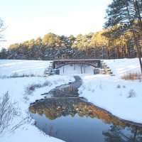 Мост через ручей :: Сергей Швечков