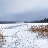 Природа Смоленщины в феврале. :: Милешкин Владимир Алексеевич 