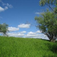 Лето :: Anna Ivanova Лето :: Anna Ivanova