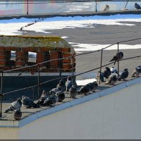 Морозно однако ! :: Сеня Белгородский