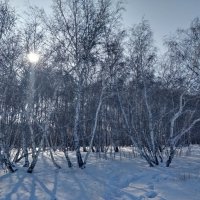 Березаньки :: Андрей Хлопонин