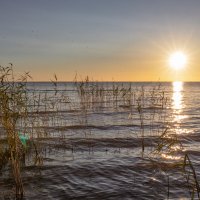 Картинки Ладожского озера :: Svetlana Komarova