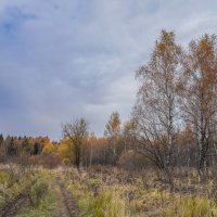 В поле... :: Владимир Жданов