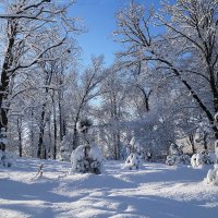 Солнечный, снежный февраль :: Рита Симонова Солнечный, снежный февраль :: Рита Симонова