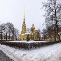 Предновогодняя Петропавловка :: Евгений 