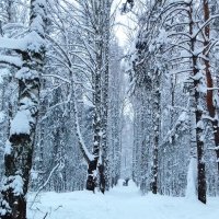 зимний пейзаж :: Владимир 