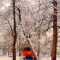 Зимний день в Захаровском  парке :: Сергей Кочнев