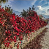 Турецкий мотив :: **** vedin