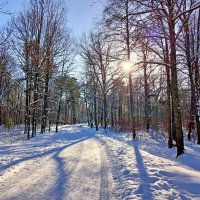 Февральский день. :: Лия ☼