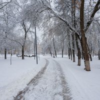 Зима в городе :: Александр Синдерёв