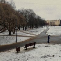 утро туманное Наукоград Черноголовка :: Любовь 