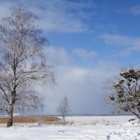 Побережье Калининградского залива :: Рита Симонова