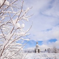 Красавица зима! :: Юлия Закопайло