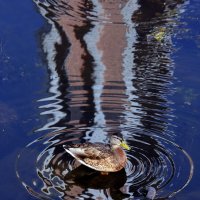 Меркурий :: Михаил Бибичков Меркурий :: Михаил Бибичков