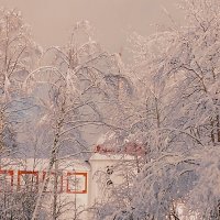 Зимний день :: Сергей Кочнев