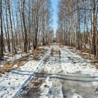 По дороге в Март :: Валерий Иванович