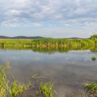 Летнее утро на реке Миасс (панорама). :: Алексей Трухин