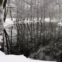 Отражаясь в холодной воле :: Ирина Олехнович