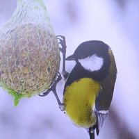 Такая довольная :: Людмила Смородинская