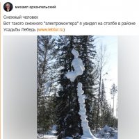 Снежный электромонтер :: михаил Архангел