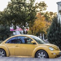 Горчишный жук в лучах заходящего солнца на бульваре Гагарина :: Коля Лукашов Горчишный жук в лучах заходящего солнца на бульваре Гагарина :: Коля Лукашов