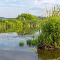 Летнее утро на реке Миасс (панорама). :: Алексей Трухин