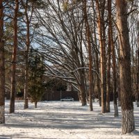 Давно у нас такой зимы не было :: Игорь Сикорский